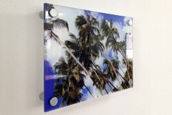 Acrylic Wall Print Example